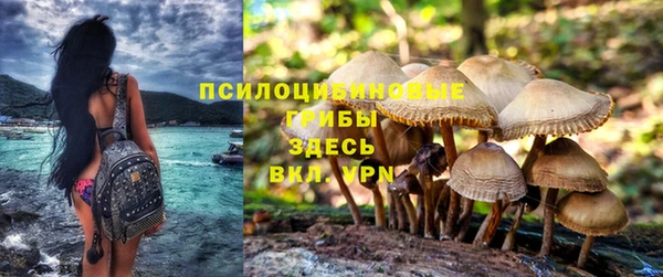 таблы Белокуриха