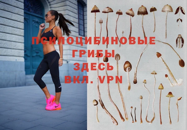 таблы Белокуриха