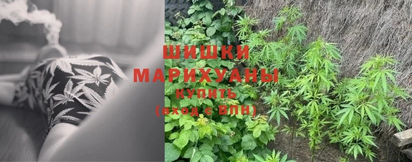 таблы Белокуриха