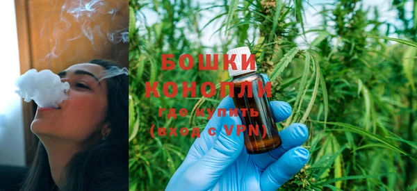 сатива Белоозёрский