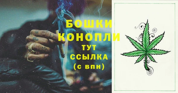 таблы Белокуриха
